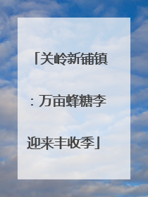 关岭新铺镇：万亩蜂糖李迎来丰收季