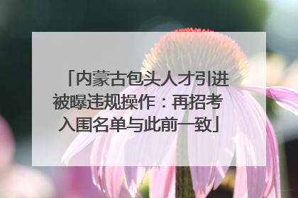 内蒙古包头人才引进被曝违规操作：再招考入围名单与此前一致