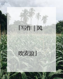 写作｜风吹麦浪