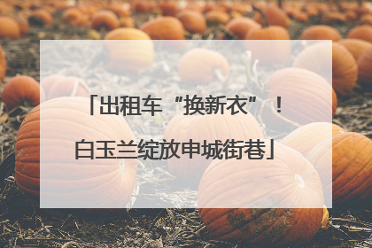 出租车“换新衣”！白玉兰绽放申城街巷