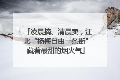 凌晨摘、清晨卖，江北“杨梅自由一条街”藏着最甜的烟火气