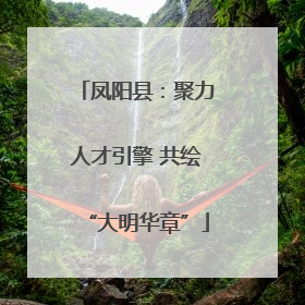 凤阳县：聚力人才引擎 共绘“大明华章”