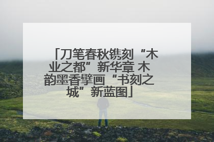刀笔春秋镌刻“木业之都”新华章 木韵墨香擘画“书刻之城”新蓝图
