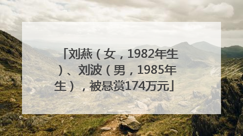 刘燕（女，1982年生）、刘波（男，1985年生），被悬赏174万元