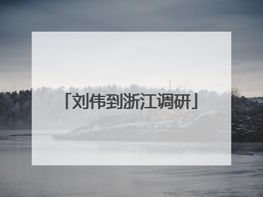 刘伟到浙江调研