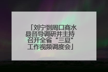 刘宁到周口商水县督导调研并主持召开全省“三夏”工作视频调度会