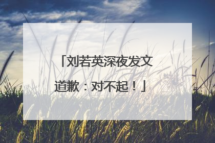 刘若英深夜发文道歉：对不起！