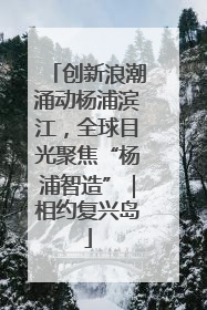 创新浪潮涌动杨浦滨江，全球目光聚焦“杨浦智造”｜相约复兴岛