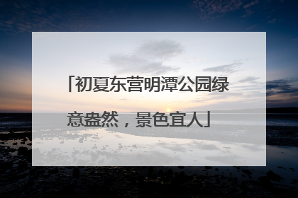 初夏东营明潭公园绿意盎然，景色宜人