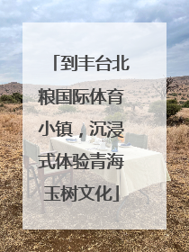到丰台北粮国际体育小镇，沉浸式体验青海玉树文化