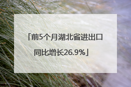 前5个月湖北省进出口同比增长26.9%