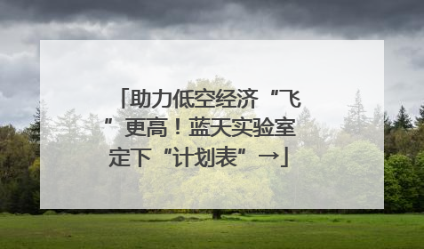 助力低空经济“飞”更高！蓝天实验室定下“计划表”→