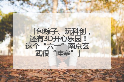 包粽子、玩科创，还有3D开心乐园！这个“六一”南京玄武很“哇塞”