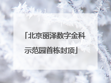 北京丽泽数字金科示范园首栋封顶