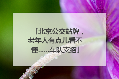 北京公交站牌，老年人有点儿看不懂……车队支招