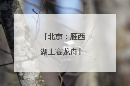 北京：雁西湖上赛龙舟