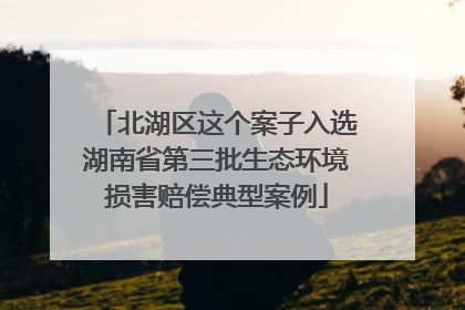 北湖区这个案子入选湖南省第三批生态环境损害赔偿典型案例
