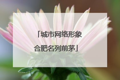 城市网络形象合肥名列前茅