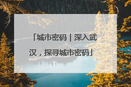 城市密码｜深入武汉，探寻城市密码