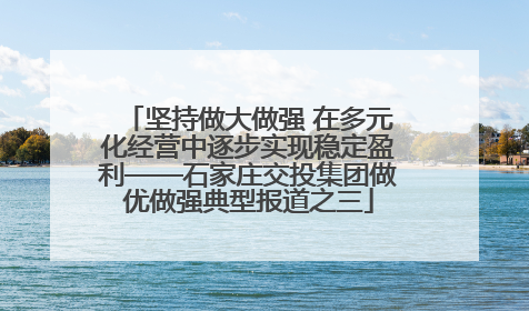 坚持做大做强 在多元化经营中逐步实现稳定盈利——石家庄交投集团做优做强典型报道之三