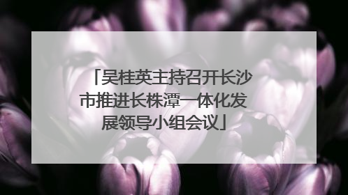 吴桂英主持召开长沙市推进长株潭一体化发展领导小组会议