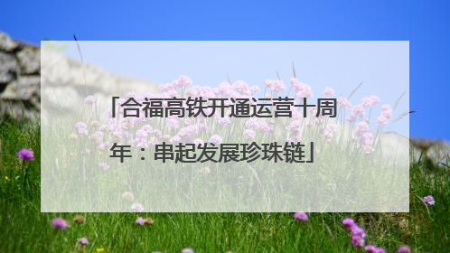 合福高铁开通运营十周年：串起发展珍珠链