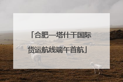合肥—塔什干国际货运航线端午首航