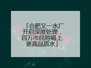 合肥又一水厂开启深度处理，百万市民将喝上更高品质水