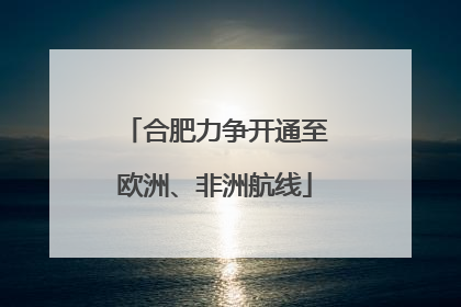 合肥力争开通至欧洲、非洲航线