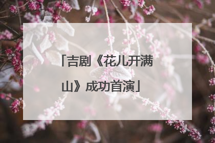 吉剧《花儿开满山》成功首演