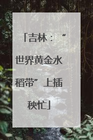 吉林：“世界黄金水稻带”上插秧忙