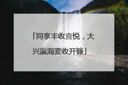 同享丰收喜悦，大兴瀛海麦收开镰