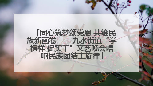 同心筑梦颂党恩 共绘民族新画卷——九水街道“学榜样 促实干”文艺晚会唱响民族团结主旋律