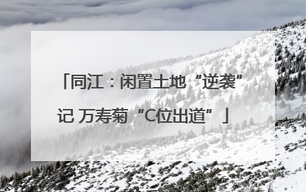 同江：闲置土地“逆袭”记 万寿菊“C位出道”