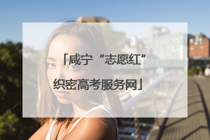 咸宁“志愿红”织密高考服务网