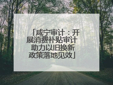 咸宁审计：开展消费补贴审计 助力以旧换新政策落地见效