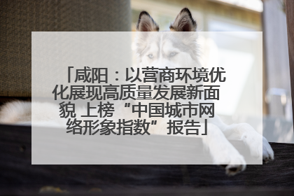 咸阳：以营商环境优化展现高质量发展新面貌 上榜“中国城市网络形象指数”报告