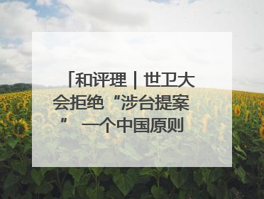 和评理｜世卫大会拒绝“涉台提案” 一个中国原则人心所向
