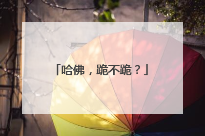 哈佛，跪不跪？