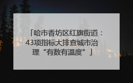哈市香坊区红旗街道：43项指标大排查城市治理“有数有温度”