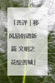 善评｜移风易俗谱新篇 文明之花绽善城