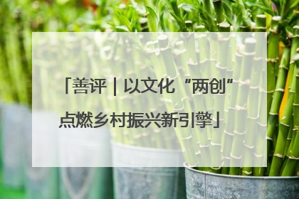 善评｜以文化“两创”点燃乡村振兴新引擎