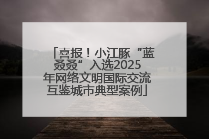 喜报！小江豚“蓝叒叒”入选2025年网络文明国际交流互鉴城市典型案例