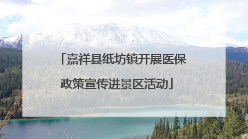 嘉祥县纸坊镇开展医保政策宣传进景区活动