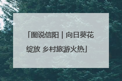 图说信阳｜向日葵花绽放 乡村旅游火热