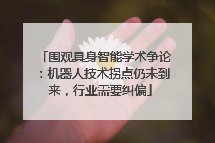 围观具身智能学术争论：机器人技术拐点仍未到来，行业需要纠偏