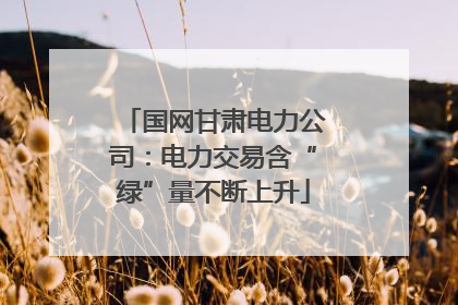 国网甘肃电力公司：电力交易含“绿”量不断上升