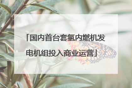 国内首台套氢内燃机发电机组投入商业运营
