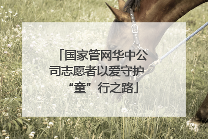 国家管网华中公司志愿者以爱守护“童”行之路