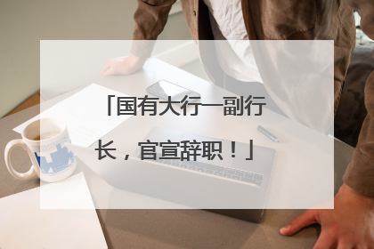 国有大行一副行长，官宣辞职！